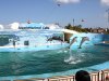 Acuario Nacional de Cuba ser un parque temtico de primer nivel.